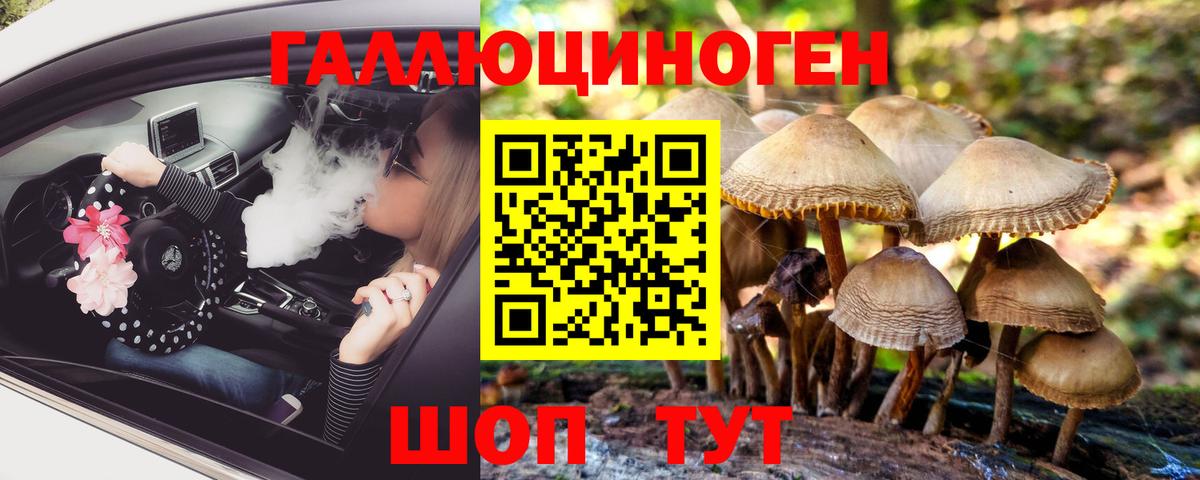 Шали  Псилоцибиновые грибы мицелий  Вход с VPN 